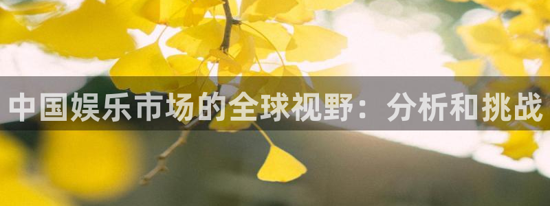 摩登7lite登录入口：中国娱乐市场的全球视野：分析和挑战