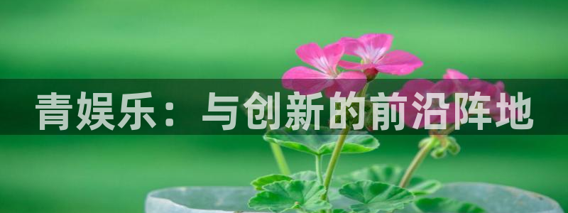 摩登7官网