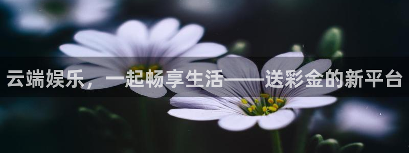 摩登7平台：云端娱乐，一起畅享生活——送彩金的新平台