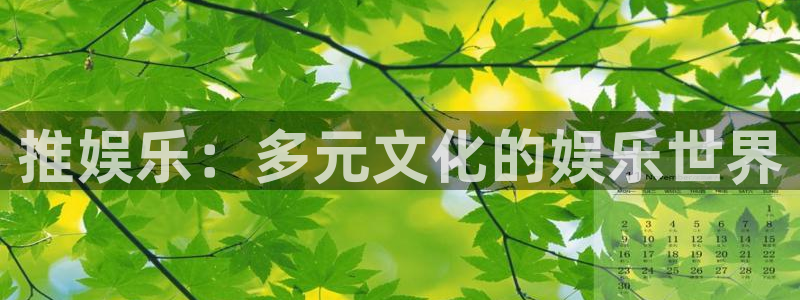 摩登7：推娱乐：多元文化的娱乐世界